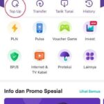 Daftar Bonanza OVO – Cara Mudah Mendapatkan Bonus OVO Spesial