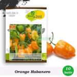 Belanja cabe habanero online untuk resep pedas Anda